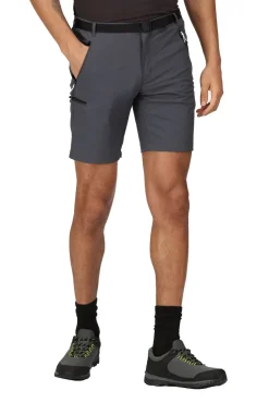 Regatta Bermudas Xert Stretch Iii Gris Claro