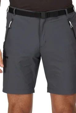 Regatta Bermudas Xert Stretch Iii Gris Claro
