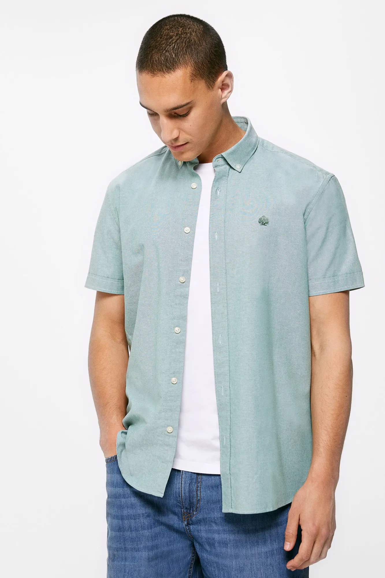 * Camisa Pinpoint Verde New