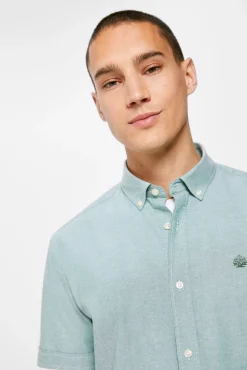 * Camisa Pinpoint Verde New