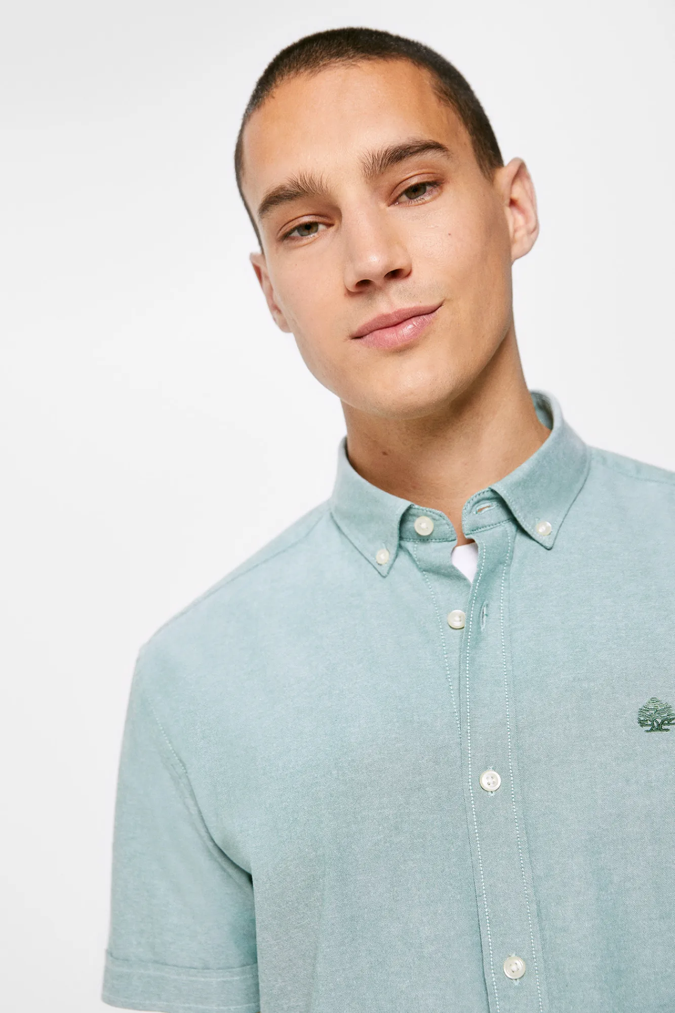 * Camisa Pinpoint Verde New