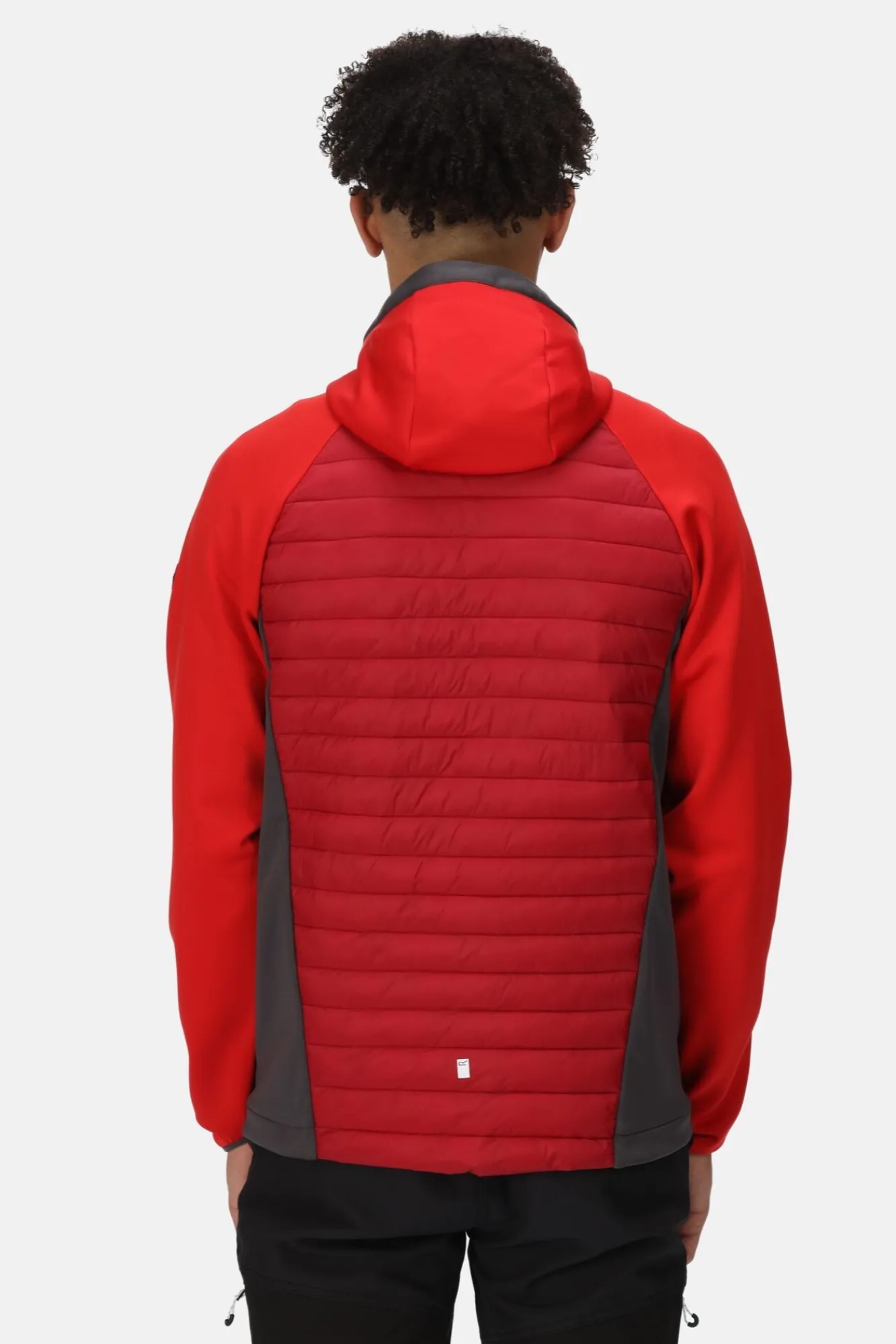 Regatta Chaqueta Acolchada Anderson Vii Rojo New