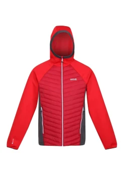 Regatta Chaqueta Acolchada Anderson Vii Rojo New