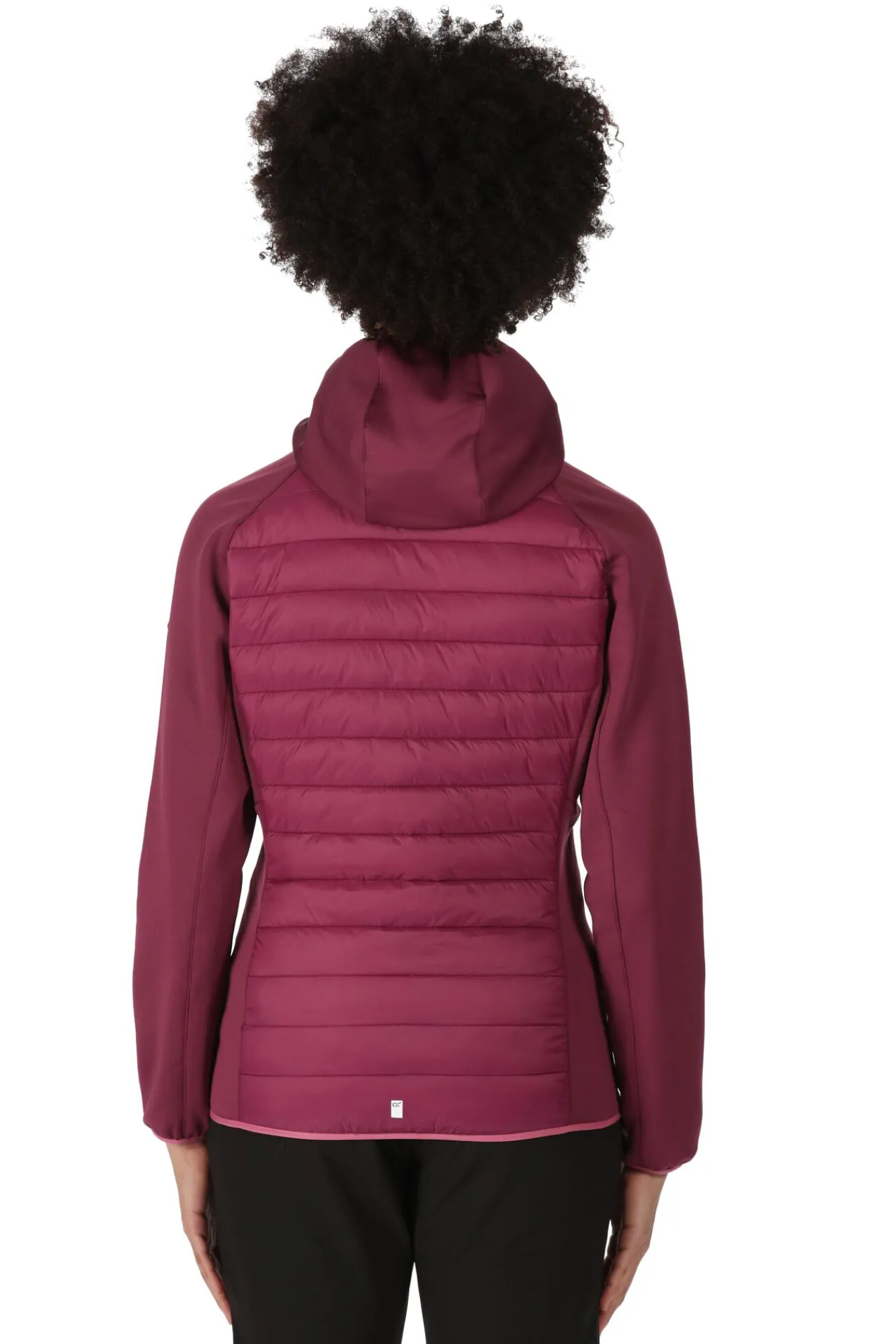 Regatta Chaqueta Anderson Vii Fucsia Discount