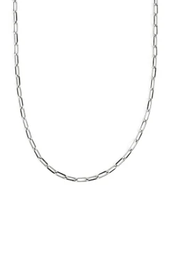 Singularu Collar Chic Gris New