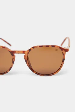 * Gafas De Sol Efecto Carey Kaki Oscuro Sale