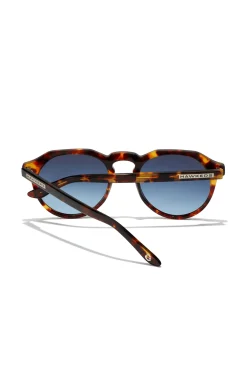 Hawkers Gafas De Sol X Thegrefg - Warwick X Carey Marron Medio Sale