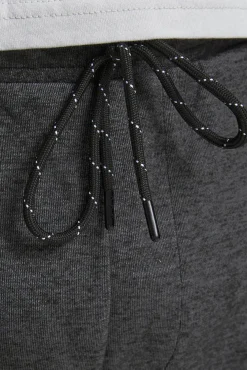 Jack & Jones Jogger Fit Slim Gris Online