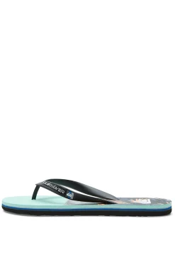 Quiksilver Molokai Panel - Chanclas Para Hombre Gris Online