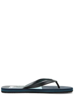 Quiksilver Molokai Panel - Chanclas Para Hombre Gris Medio Online