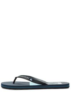 Quiksilver Molokai Panel - Chanclas Para Hombre Gris Medio Online