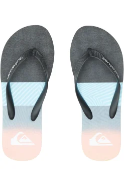 Quiksilver Molokai Panel - Chanclas Para Hombre Navy Sale