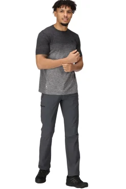 Regatta Pantalon Xert Stretch Iii Gris Claro Discount